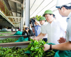 Nghệ An ban hành Kế hoạch thực hiện Đề án “Đảm bảo an toàn thực phẩm, nâng cao chất lượng nông, lâm, thủy sản giai đoạn 2021 – 2030” trên địa bàn tỉnh