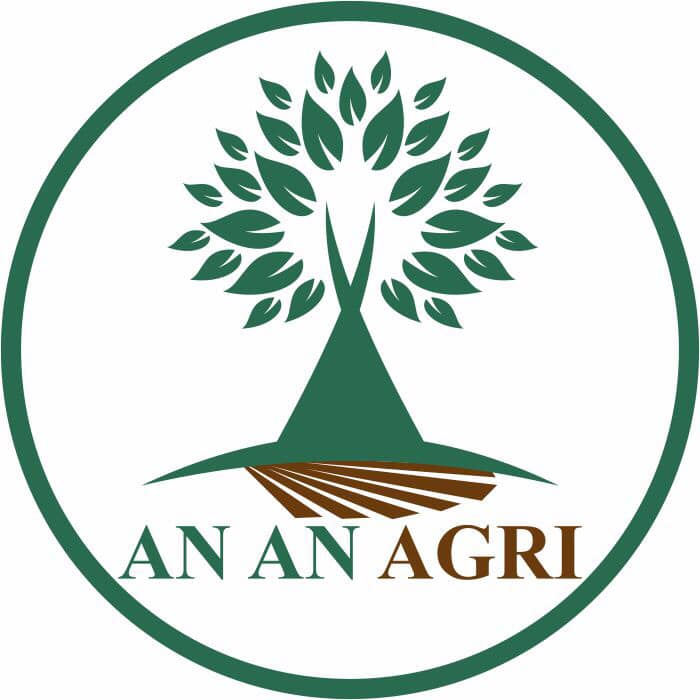 Công ty CP thực phẩm AGRI - Mỳ rau AnAn