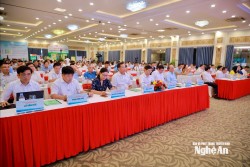 Kết nối sản xuất, tiêu thụ nông sản dứa, chè, cây ăn quả có múi các tỉnh vùng Bắc Trung Bộ